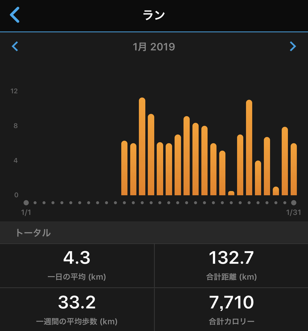 【ダイエット】2019年1月の経過報告　73.2kg→70.8kg（-2.4kg）