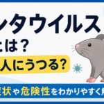 ハンタウイルスとは？人にうつる？症状や危険性をわかりやすく解説